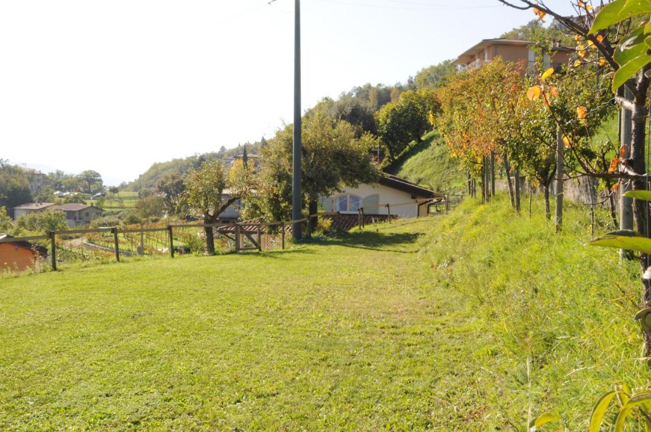 Villetta 56 Blu Yellow And Red Lake View Garden Private Parking By Garda Domus Mea Tremosine Luaran gambar