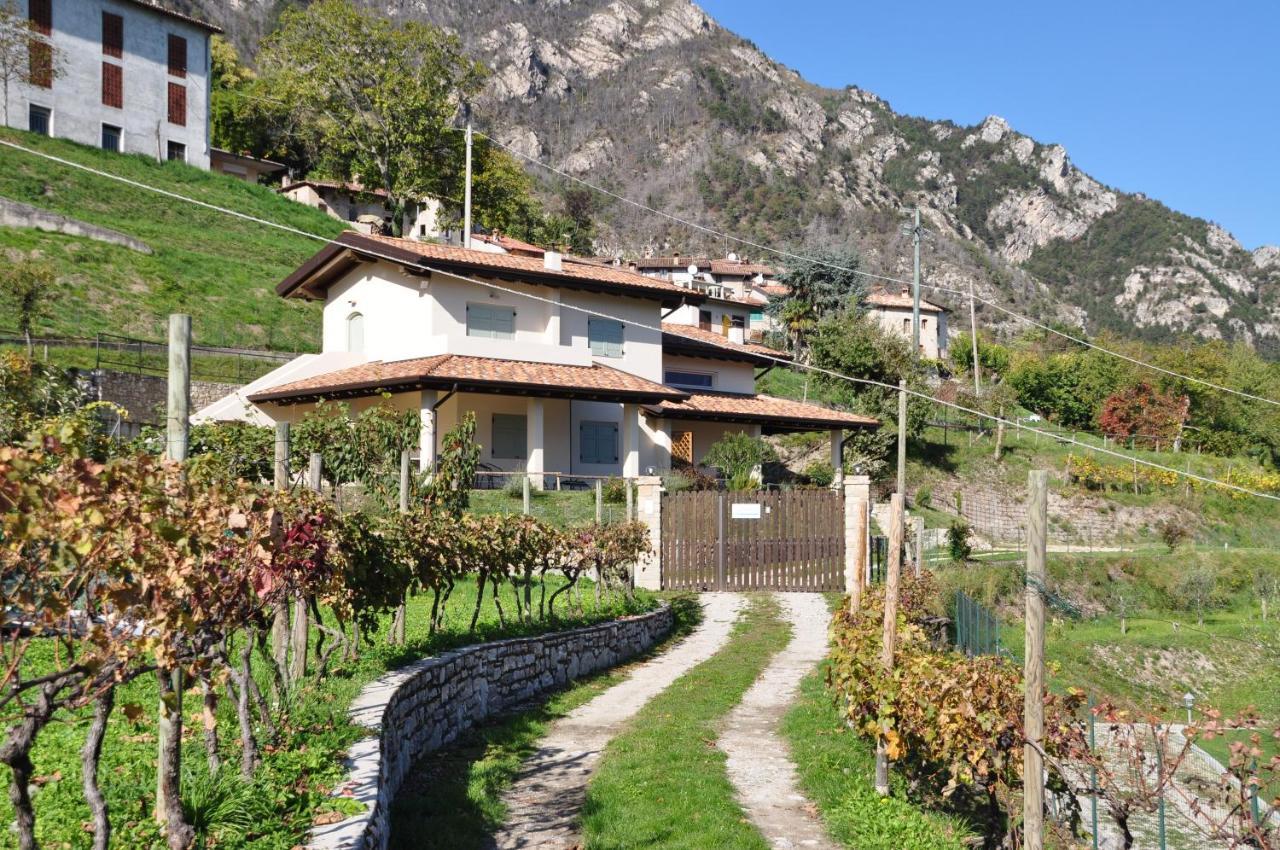 Villetta 56 Blu Yellow And Red Lake View Garden Private Parking By Garda Domus Mea Tremosine Luaran gambar