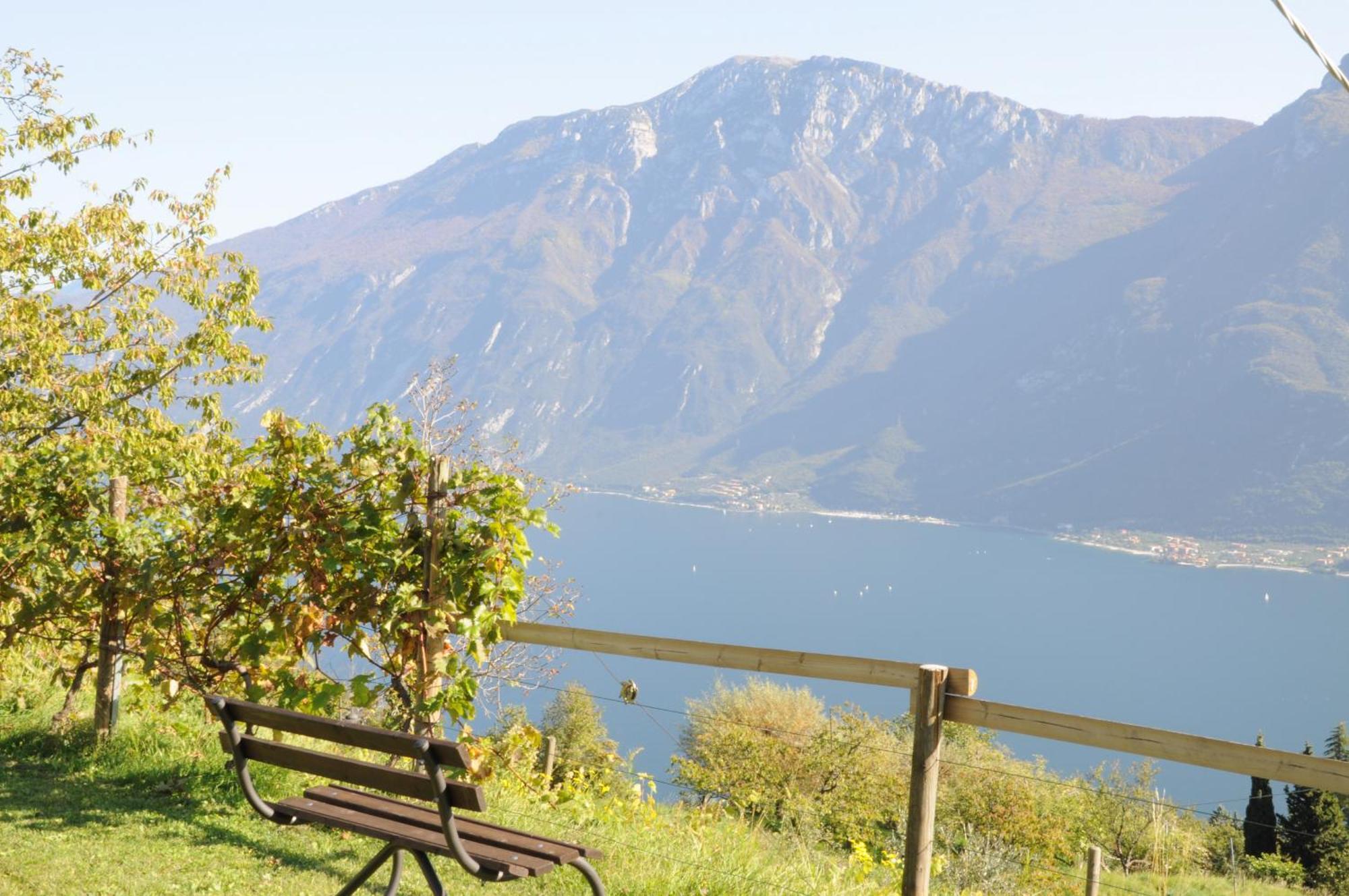 Villetta 56 Blu Yellow And Red Lake View Garden Private Parking By Garda Domus Mea Tremosine Luaran gambar